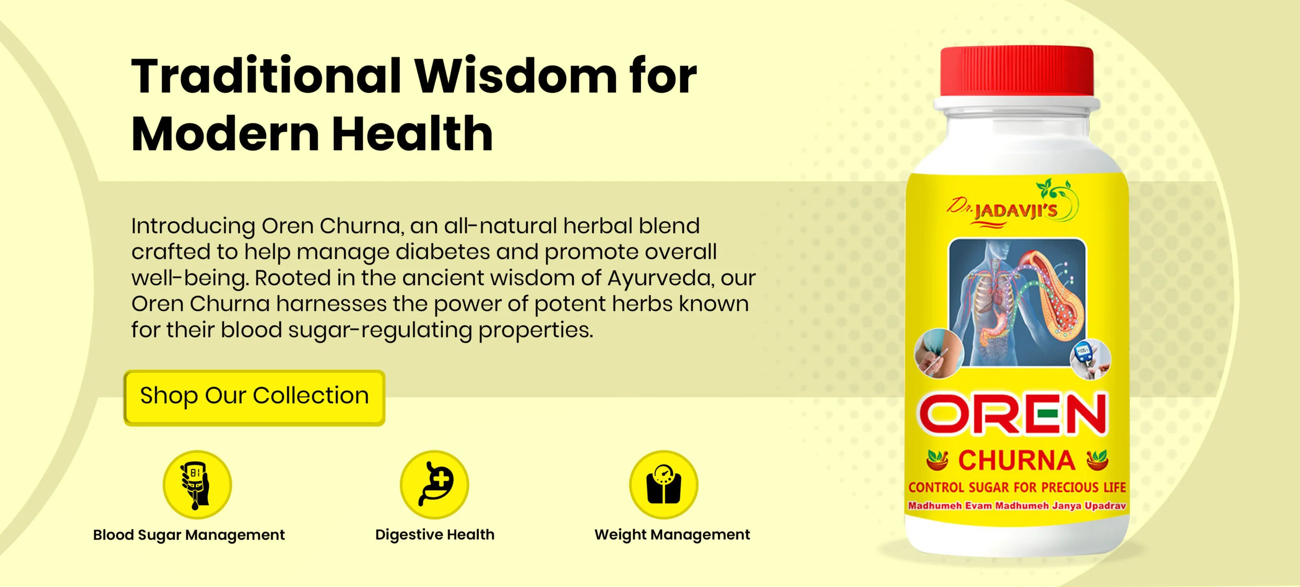 website-banner-yellow-lab-5-jog