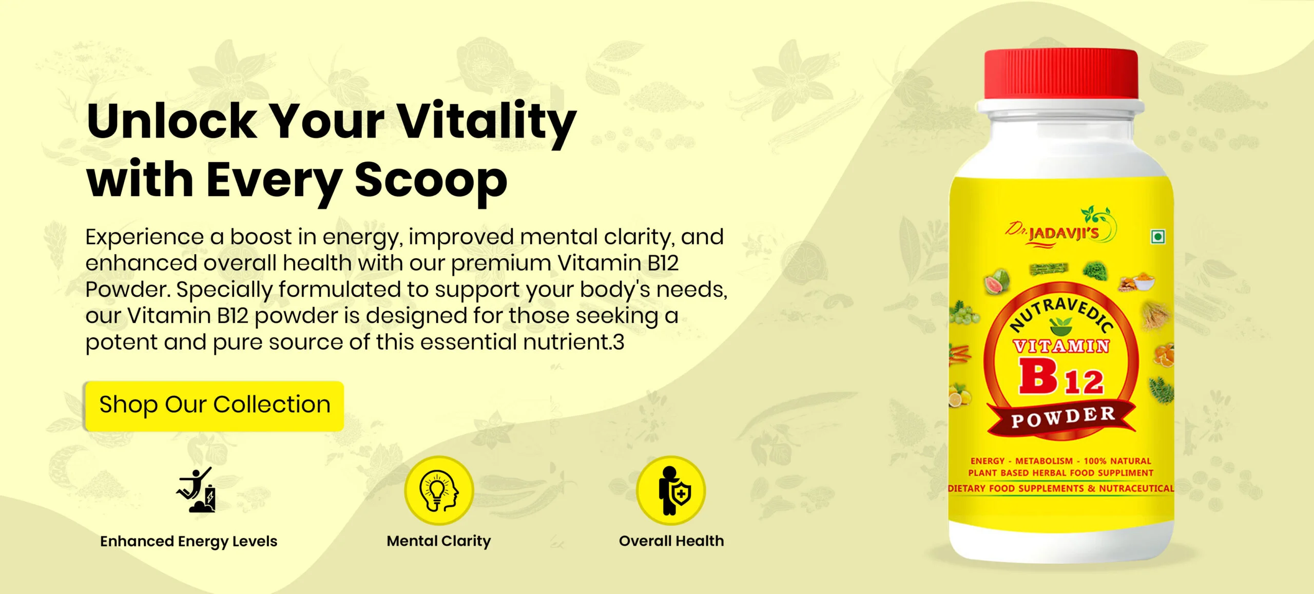website-banner-yellow-lab-6-jog